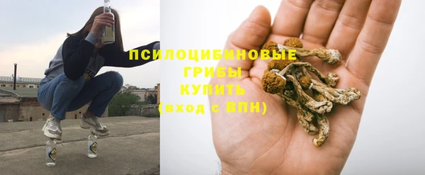 a pvp Снежногорск