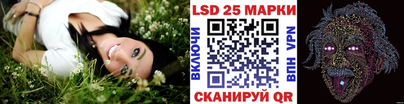 Марки N-bome 1,5мг сайты даркнета наркотические препараты Тавда МЕГА зеркало