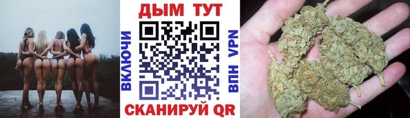 где можно купить   Тавда  Бошки марихуана планчик 